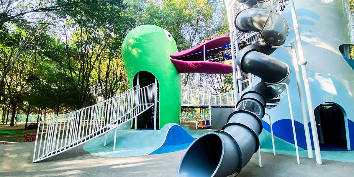 custom outdoor play structures